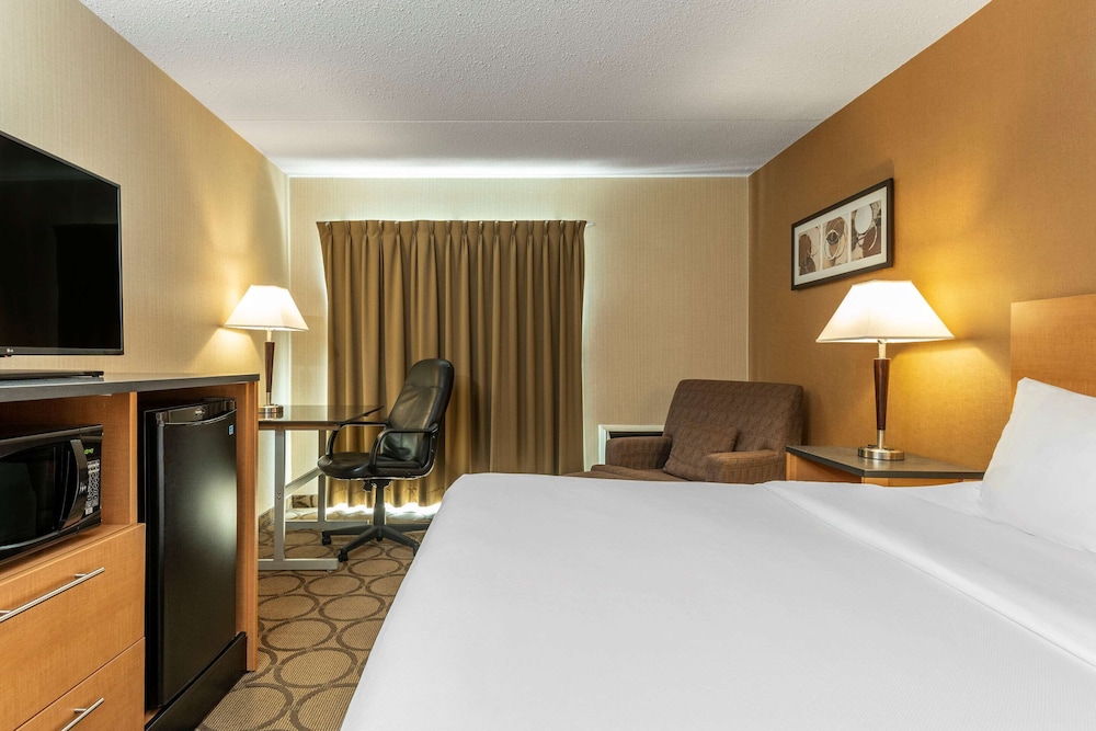 Comfort Inn Airport East