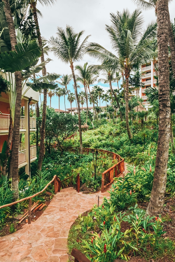 Grand Wailea Maui, A Waldorf Astoria Resort photo 3
