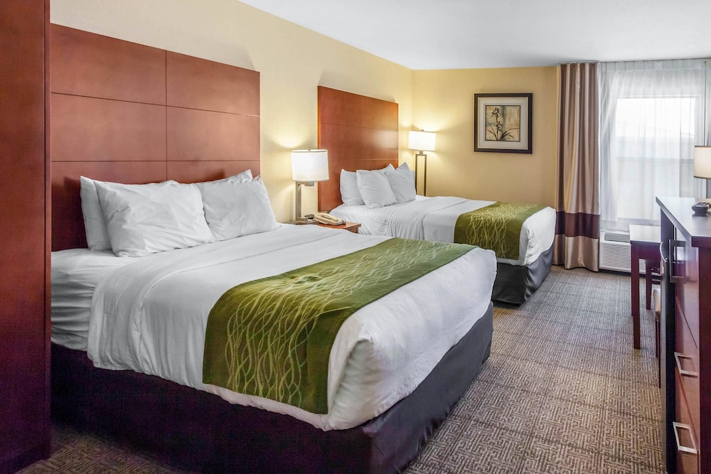Comfort Inn & Suites Near Fallon Naval Air Station
