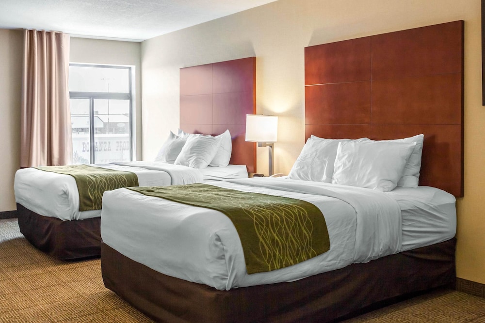 Comfort Inn & Suites Near Fallon Naval Air Station