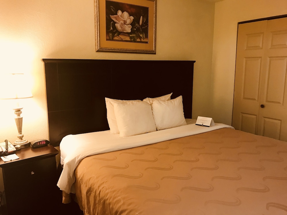 Quality Inn & Suites Statesboro — foto 4