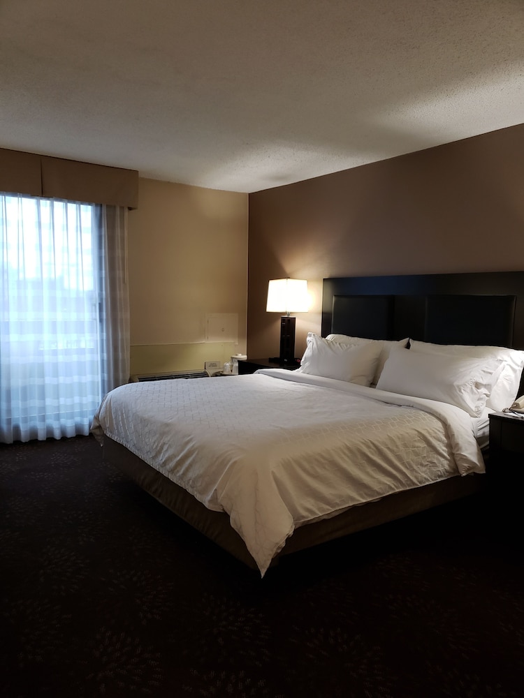 Holiday Inn Express Detroit-Birmingham by IHG