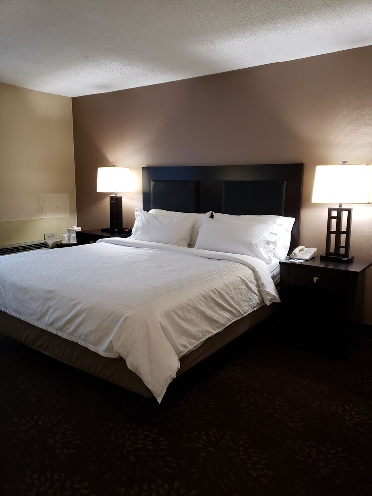 Holiday Inn Express Detroit-Birmingham by IHG
