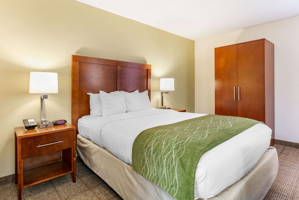 Comfort Inn Chattanooga Downtown Southside