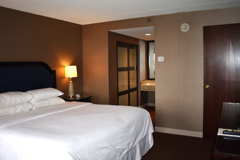 Sheraton Lisle Naperville Hotel photo 2