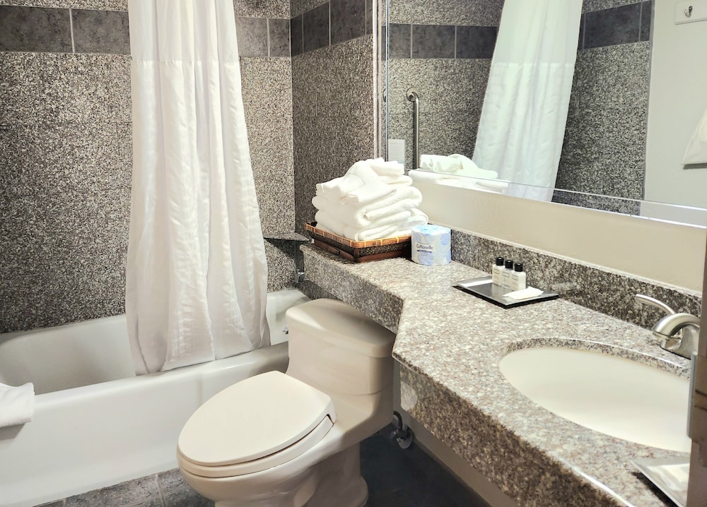 Wyndham Garden Hotel Austin