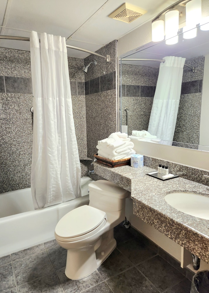 Wyndham Garden Hotel Austin