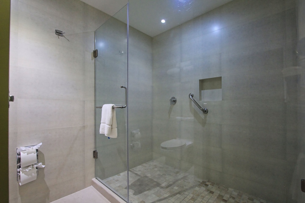 Holiday Inn Leon by IHG photo 4