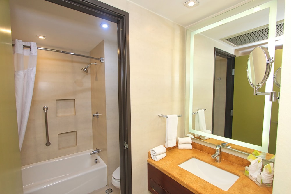 Holiday Inn Leon by IHG photo 5