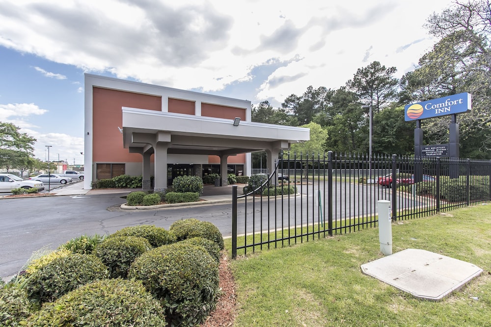 Spark by Hilton Jackson Ridgeland
