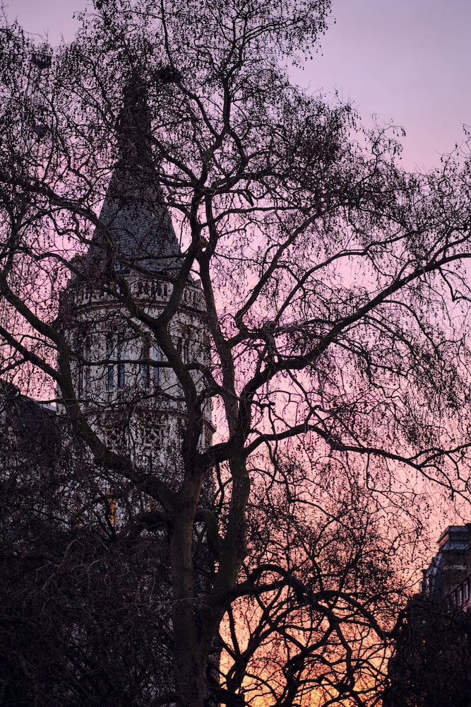 The Clermont London, Charing Cross — photo 4