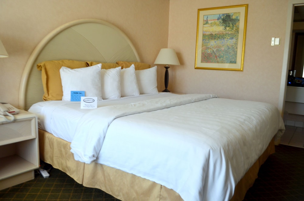 Chapel Hill University Inn