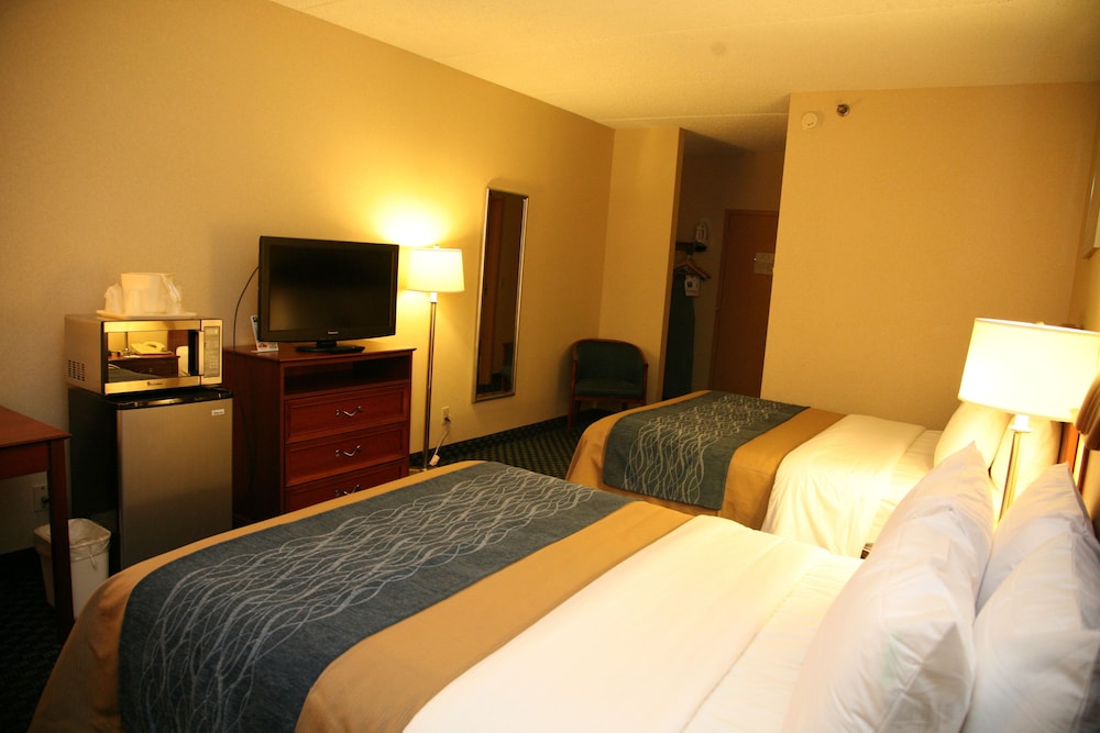 Comfort Inn Rochester Greece