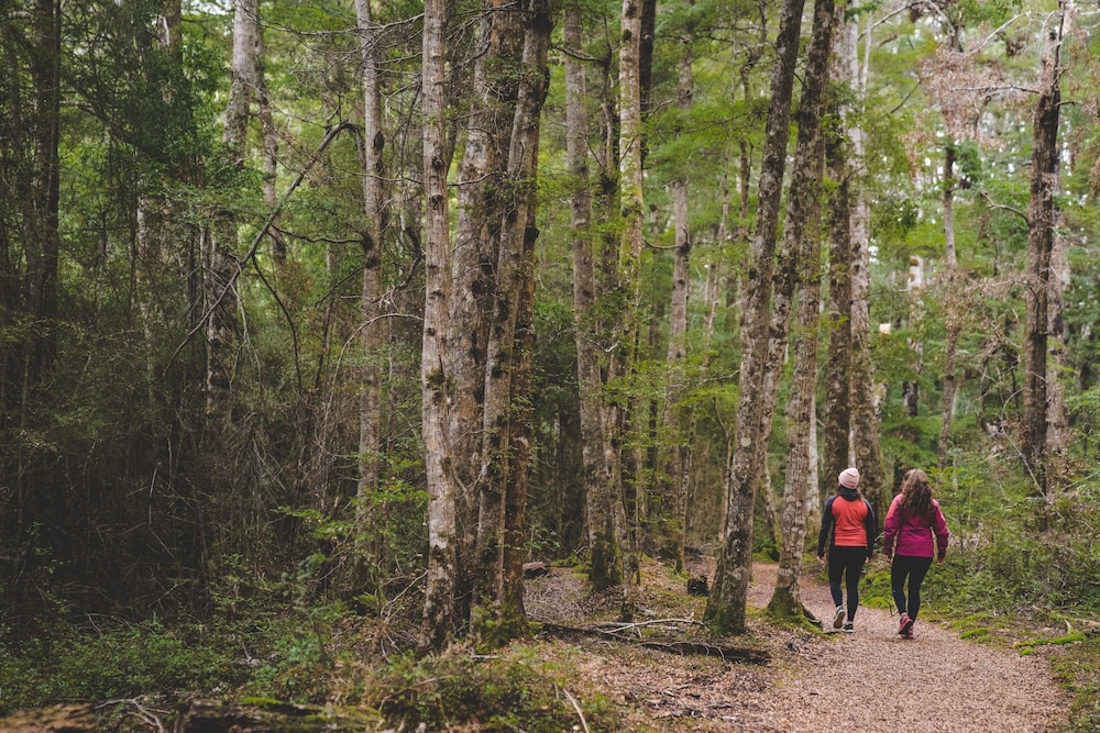 Fiordland National Park Lodge
