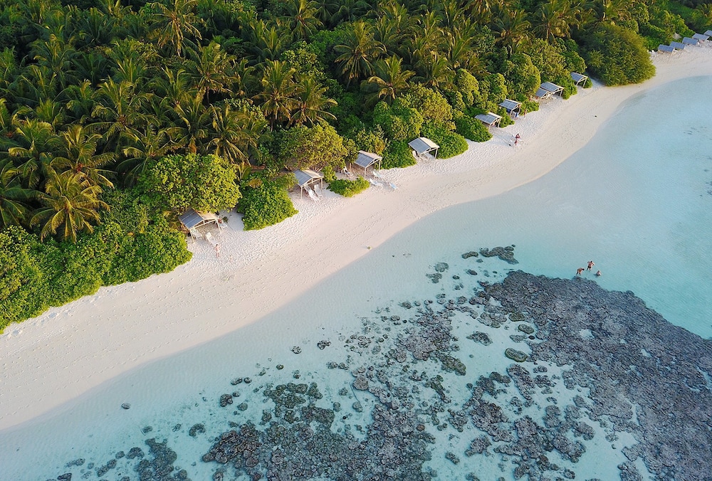 Plumeria Maldives