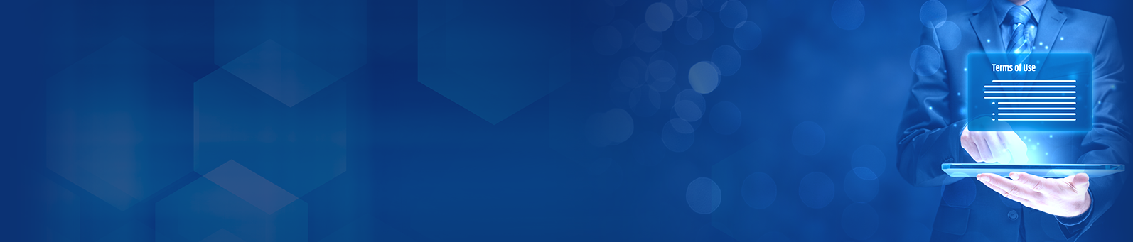 Terms and Conditions